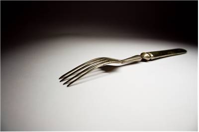 Fork Picture
