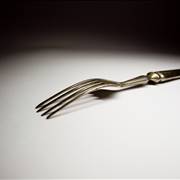Fork Picture